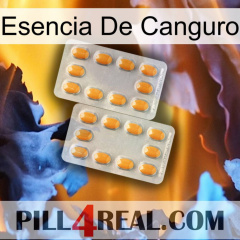 Kangaroo Essence cialis4